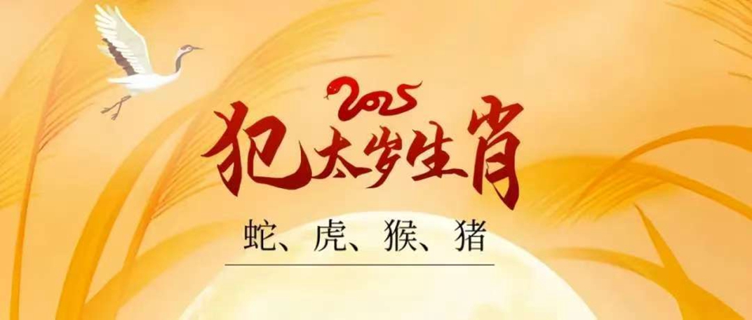 微信图片_20250105180012.jpg