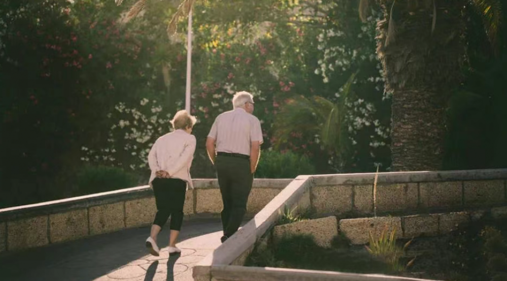 ScreenShot_2025-11-26_061950_677.png ScreenShot_2025-11-26_061950_677.png